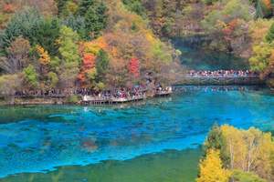 四川旅游，感谢有四川当地品质好的纯玩网红导游大阿哥一路相伴