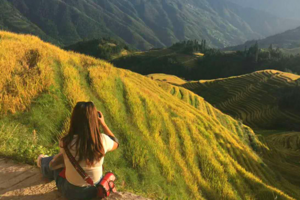 去四川旅游，玩过的朋友们推荐了当地正规靠谱导游和必游旅游景点