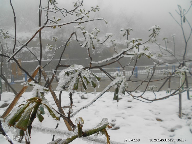 西岭雪山滑雪场图片